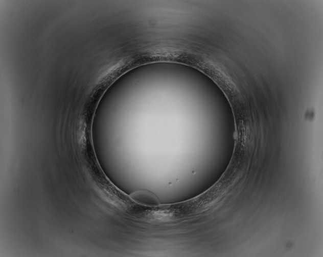 X0000100860692200806201217