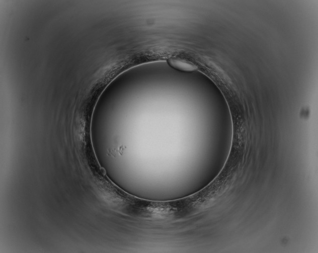 X0000100860693200806201217