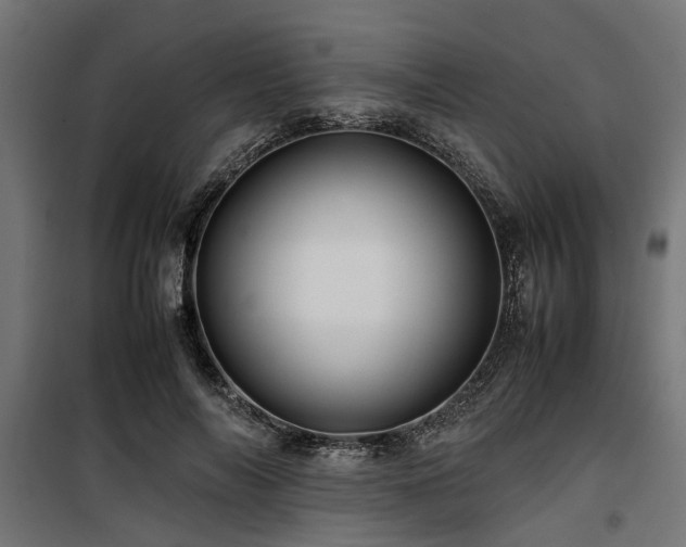 X0000100860694200806201217