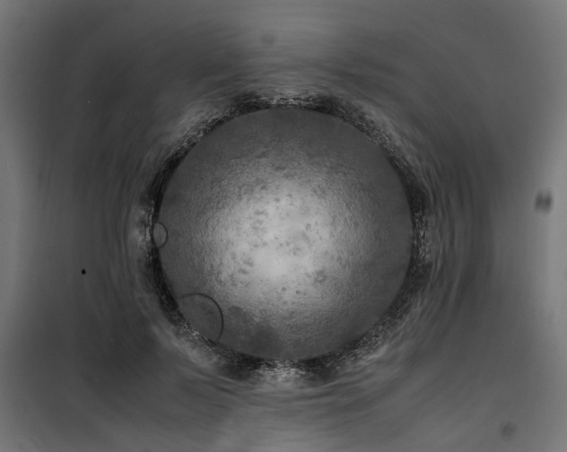 X0000100860695200806201217