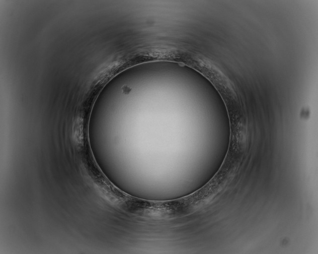 X0000100860696200806201217