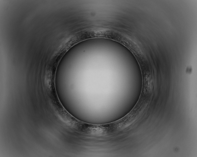 X0000100860698200806201217