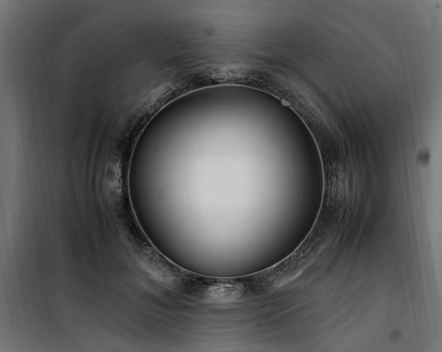 X0000100860700200806201217