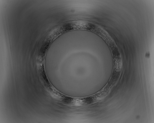 X0000100860701200806201217