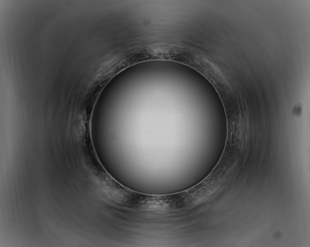 X0000100860702200806201217