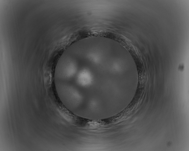 X0000100860703200806201217