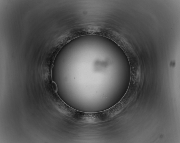 X0000100860704200806201217