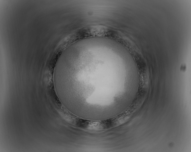 X0000100860705200806201217