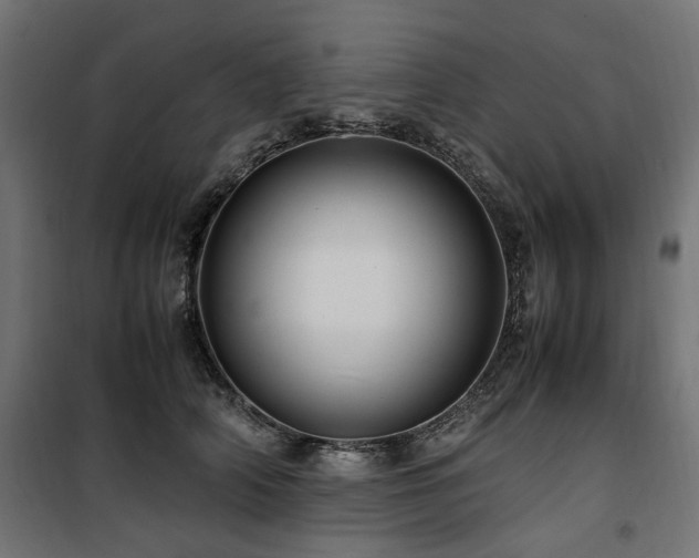 X0000100860706200806201217