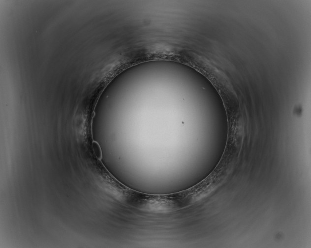 X0000100860708200806201217