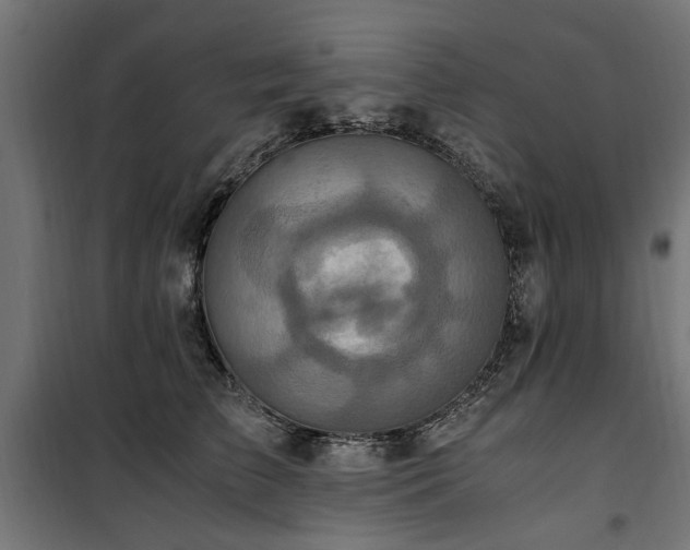 X0000100860709200806201217