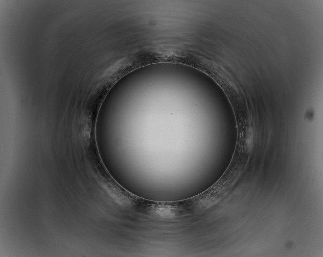 X0000100860710200806201217