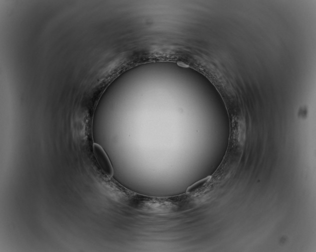 X0000100860712200806201217