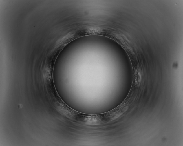 X0000100860714200806201217