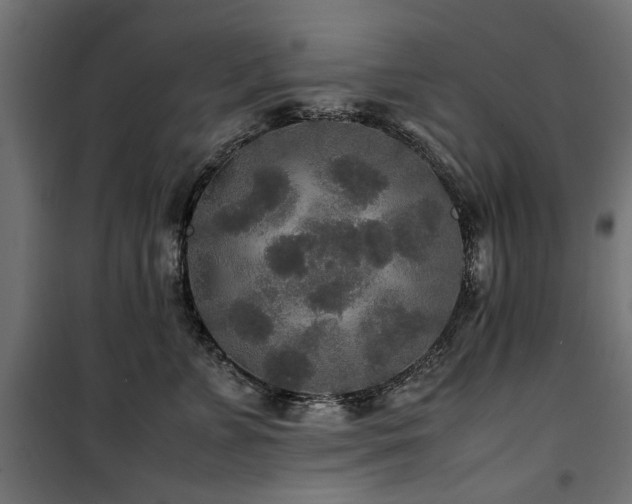 X0000100860715200806201217