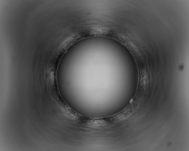 X0000100860716200806201217