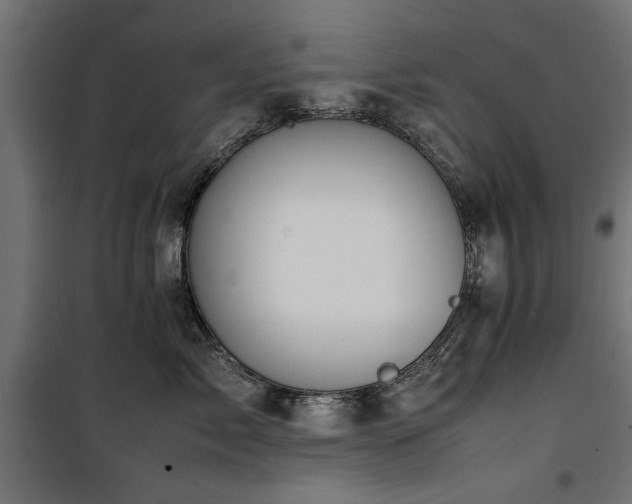 X0000100860717200806201217