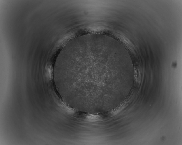 X0000100860718200806201217