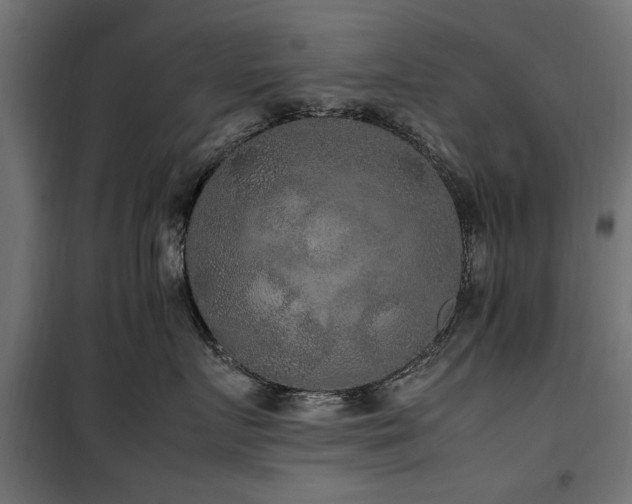 X0000100860719200806201217