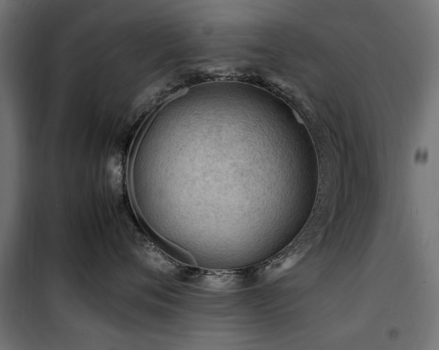 X0000100860720200806201217