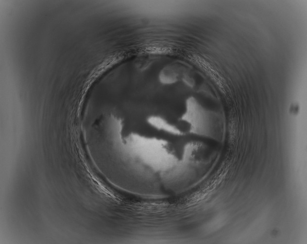 X0000100860721200806201216