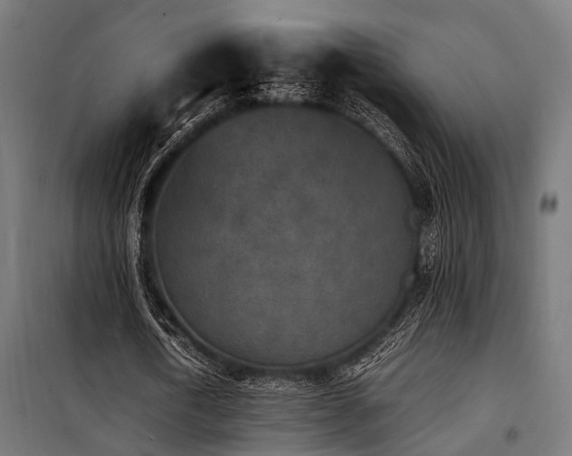 X0000100860722200806201216