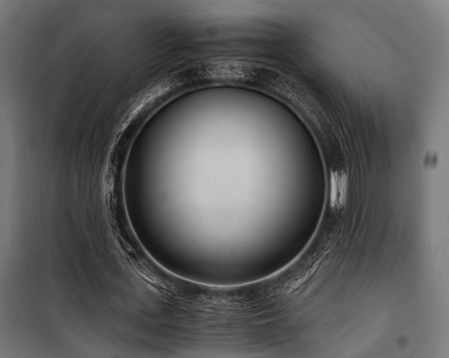 X0000100860723200806201216