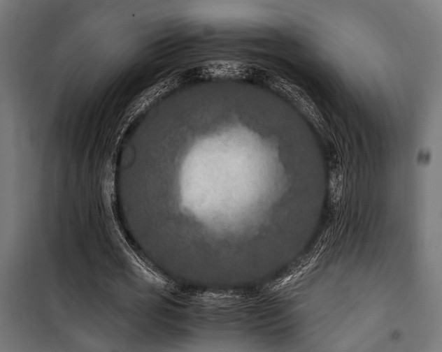 X0000100860725200806201216