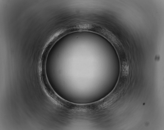 X0000100860726200806201216