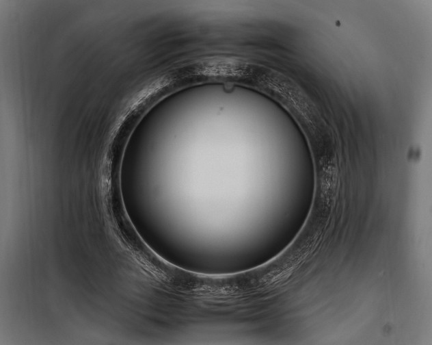 X0000100860727200806201216