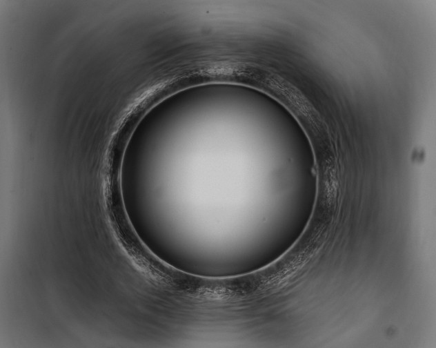 X0000100860728200806201216