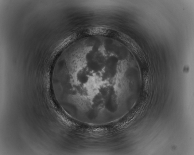 X0000100860729200806201216