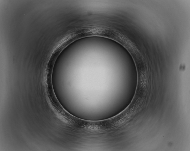 X0000100860730200806201216