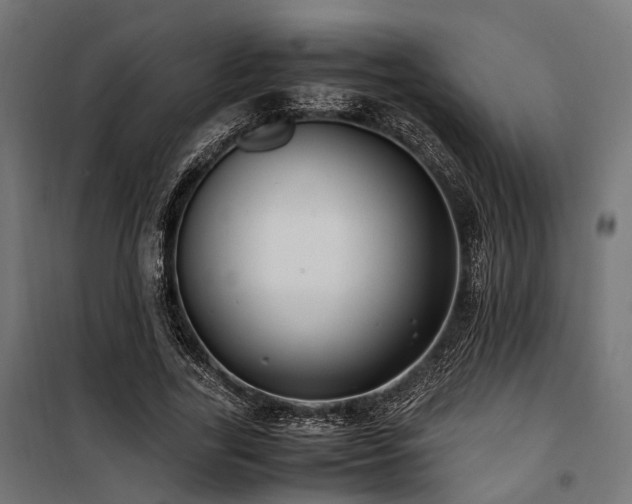 X0000100860731200806201216