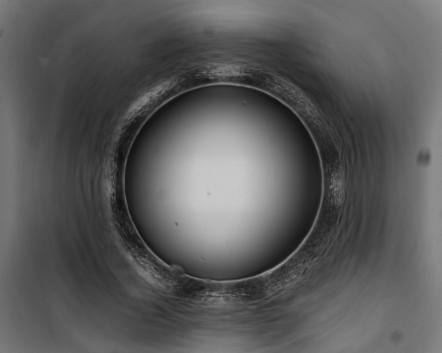 X0000100860732200806201216