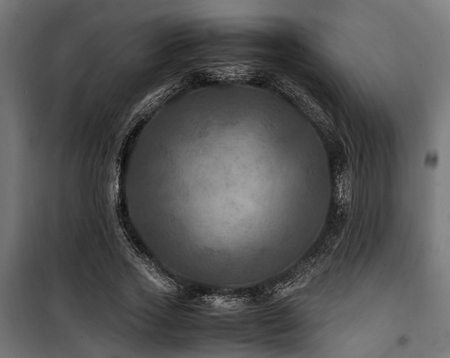 X0000100860733200806201216