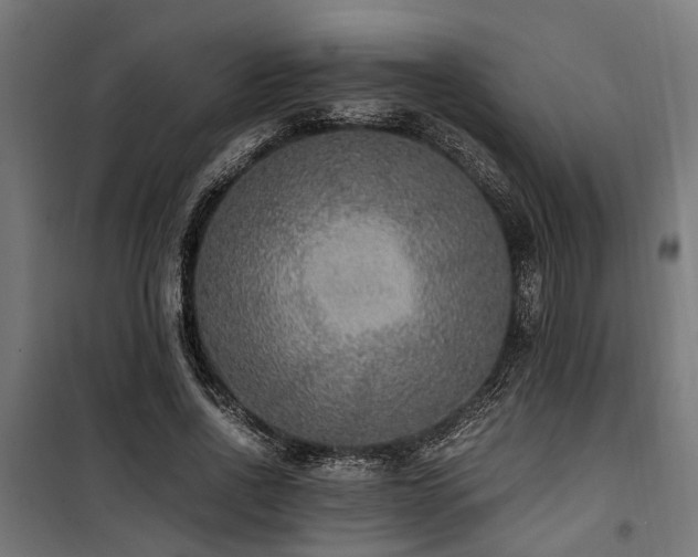 X0000100860734200806201216