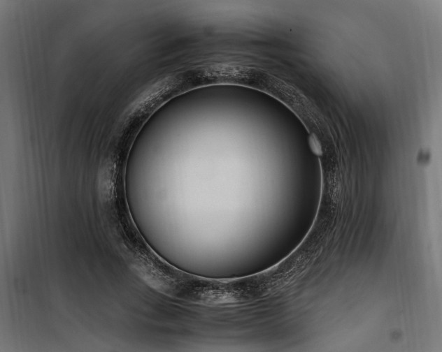 X0000100860735200806201216