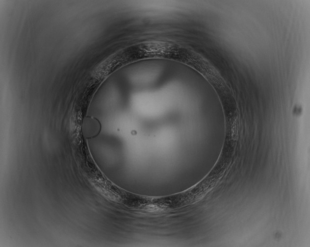 X0000100860737200806201216