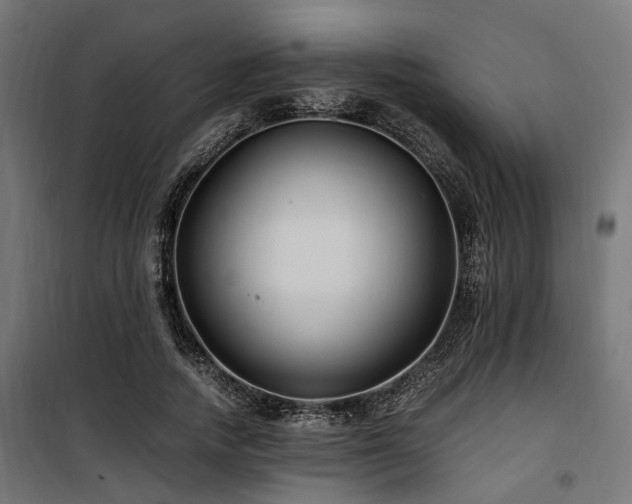 X0000100860738200806201216