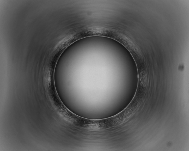 X0000100860740200806201216