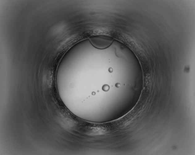 X0000100860741200806201216