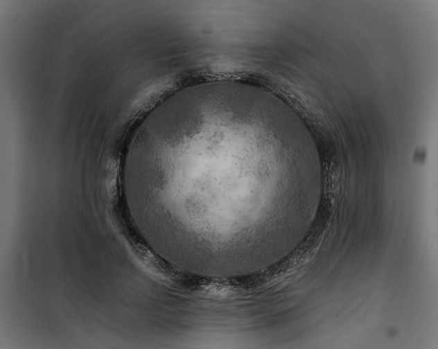 X0000100860742200806201216