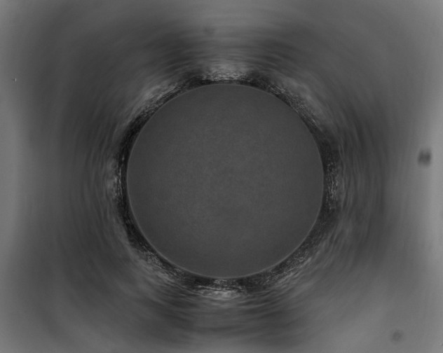 X0000100860743200806201216