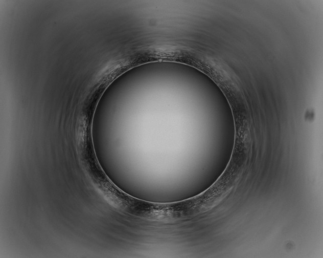 X0000100860744200806201216