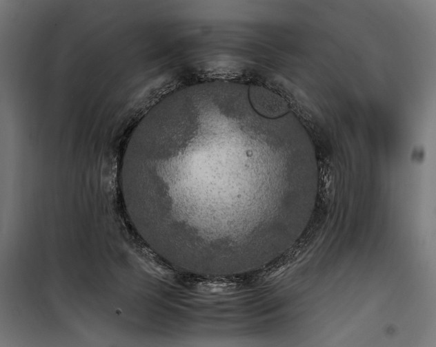 X0000100860745200806201216