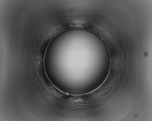 X0000100860747200806201216