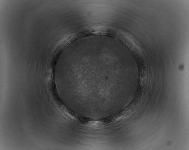 X0000100860748200806201216