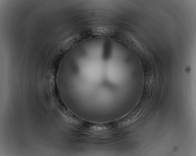 X0000100860749200806201216