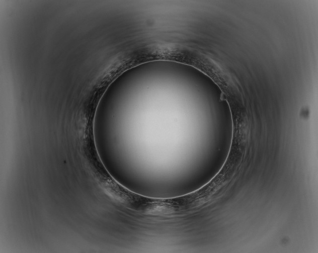 X0000100860750200806201216